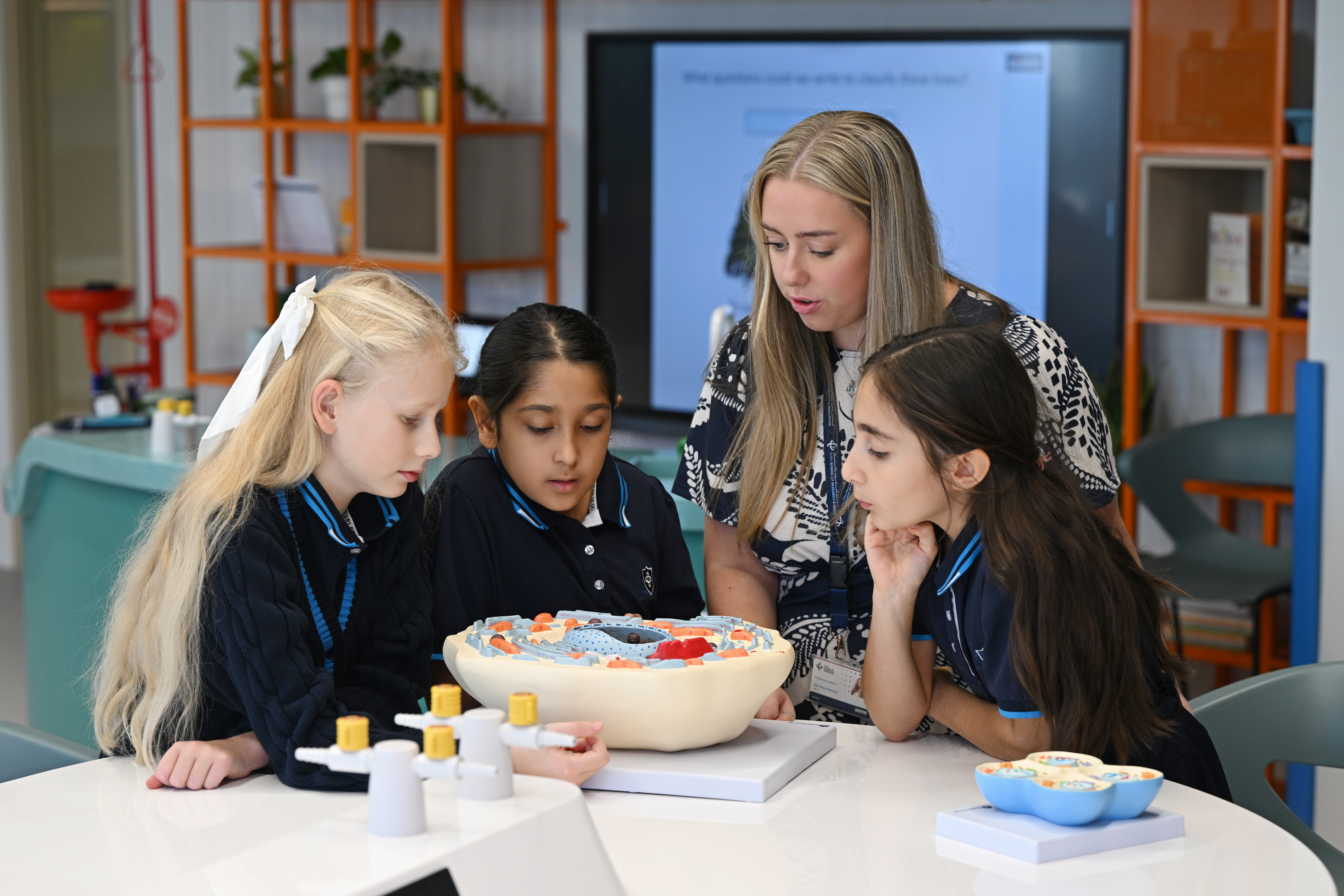 Classroom learning and care at SRI